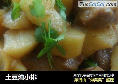 土豆炖小排