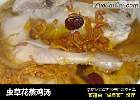 虫草花蒸鸡汤