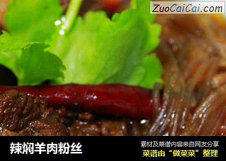 辣焖羊肉粉丝