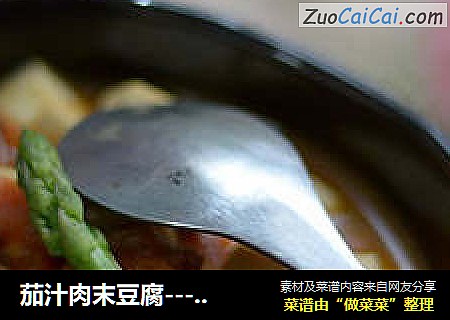 茄汁肉末豆腐----快速做出一道好吃的家常开胃菜