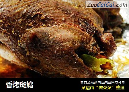 香烤斑鸠