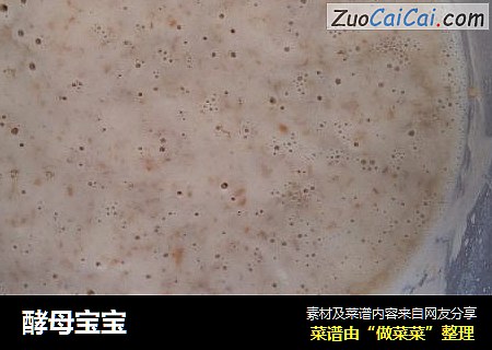 酵母宝宝