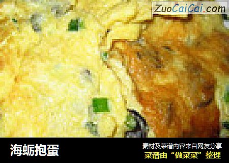 海蛎抱蛋