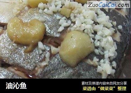油沁鱼