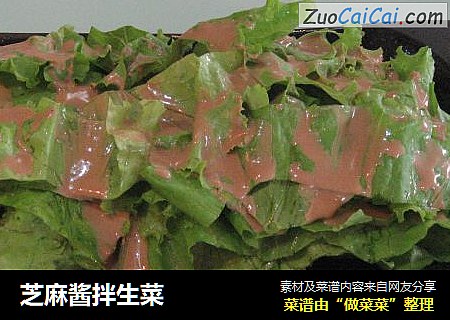 芝麻酱拌生菜