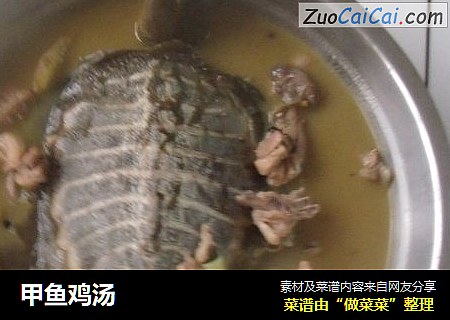 甲鱼鸡汤