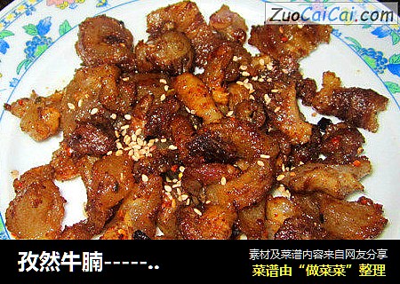 孜然牛腩-------烧烤味