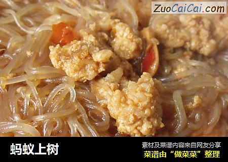 蚂蚁上树
