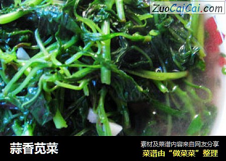 蒜香苋菜