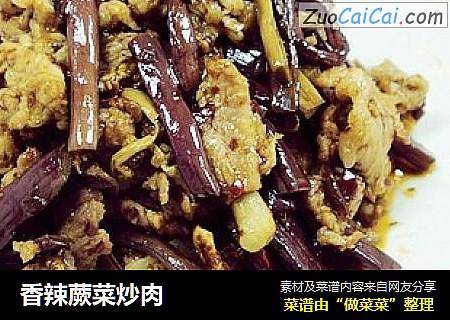 香辣蕨菜炒肉