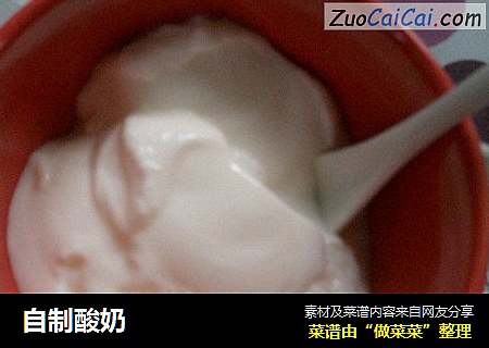 自制酸奶