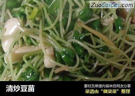 清炒豆苗