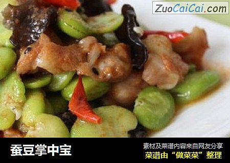 蚕豆掌中宝