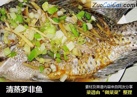 清蒸罗非鱼
