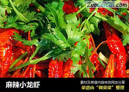 麻辣小龙虾