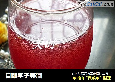 自酿李子美酒