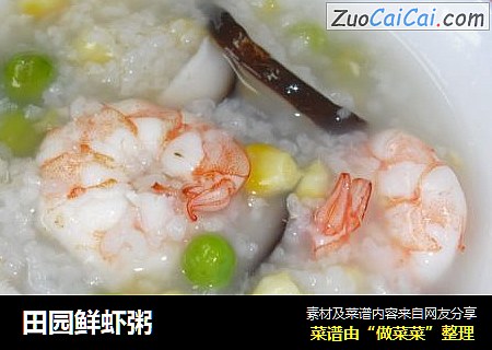 田园鲜虾粥