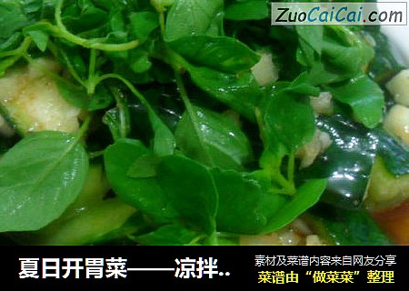 夏日开胃菜——凉拌麻辣黄瓜