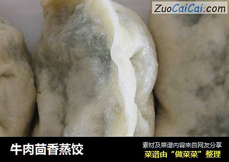 牛肉茴香蒸饺