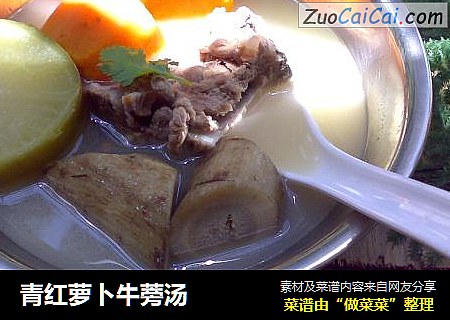 青红萝卜牛蒡汤