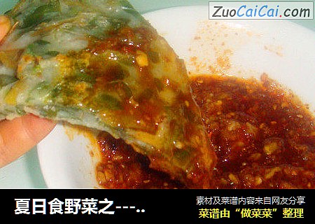 夏日食野菜之---【美味的马齿苋饼】