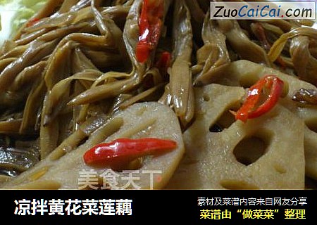 凉拌黄花菜莲藕