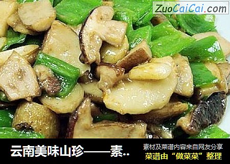 云南美味山珍——素炒白牛肝菌