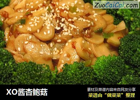 XO酱杏鲍菇
