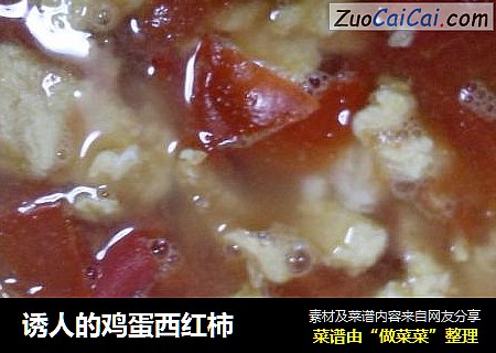 诱人的鸡蛋西红柿