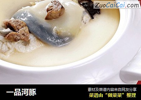 一品河豚
