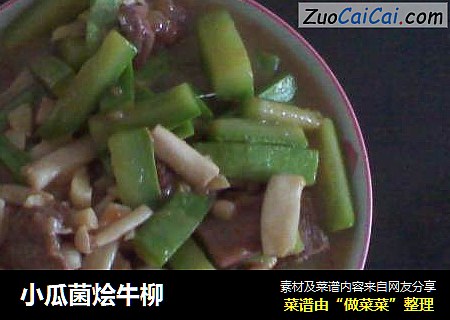 小瓜菌烩牛柳