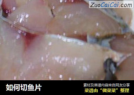如何切鱼片