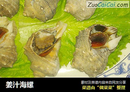 姜汁海螺