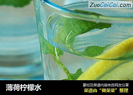 薄荷柠檬水