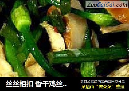 丝丝相扣 香干鸡丝炒蒜苗
