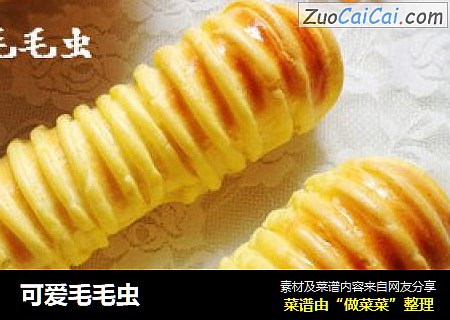可爱毛毛虫