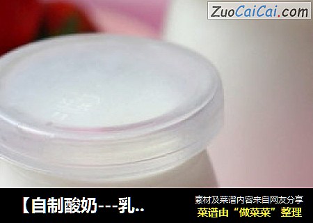 【自制酸奶---乳酸菌版】健康美味轻松搞定
