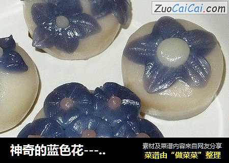 神奇的蓝色花-----糯米团子