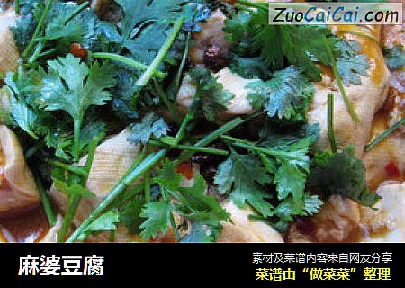 麻婆豆腐