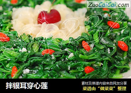 拌银耳穿心莲