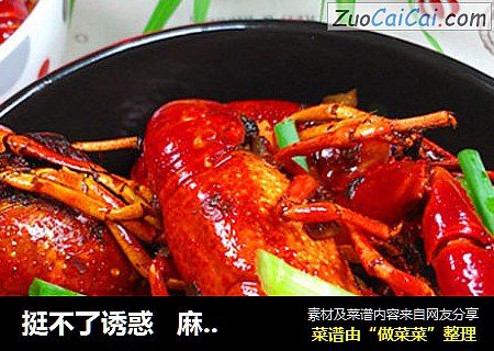 挺不了诱惑   麻辣小龙虾