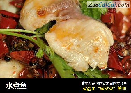 水煮鱼