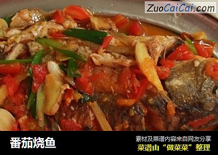 番茄烧鱼