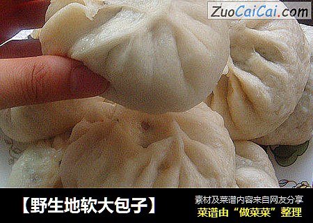 【野生地软大包子】