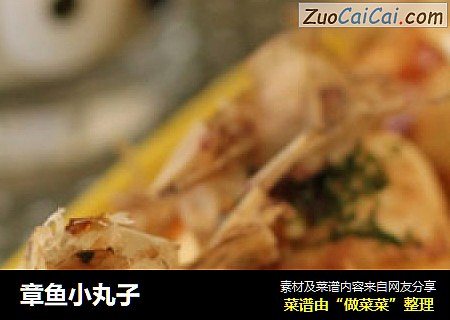 章鱼小丸子