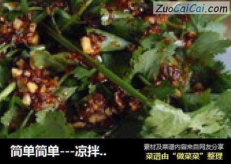 简单简单---凉拌香菜