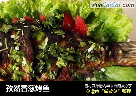 孜然香葱烤鱼