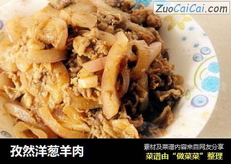 孜然洋葱羊肉