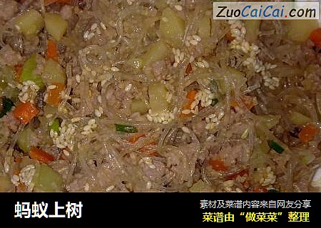 蚂蚁上树