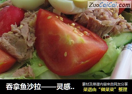 吞拿鱼沙拉——灵感来自于普罗旺斯